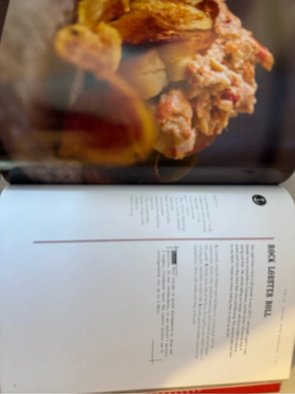 The Great Lobster Cookbook - Red Cookbook by Matt dean pettit. 🦞🦞🦞🦞🦞🦞